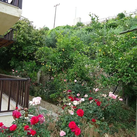 Hotel Galini